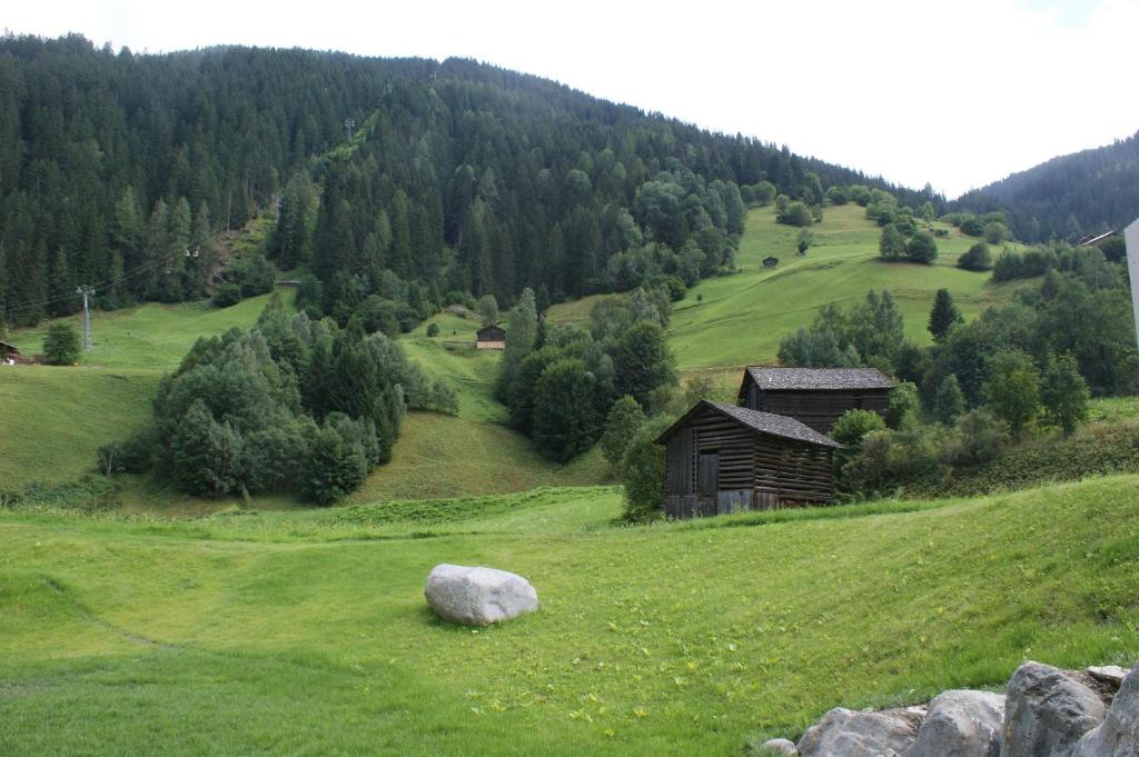 Příroda nedaleko apartmánu