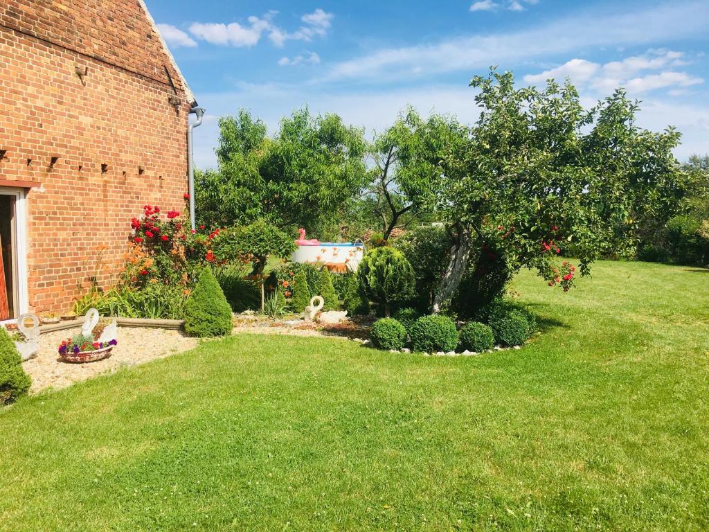 um jardim com uma árvore e um edifício de tijolos em Guest House Wiejska Sielanka em Brody