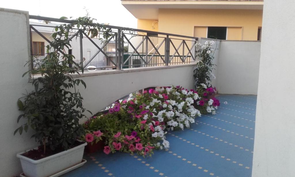 Balkón nebo terasa v ubytování B&B Lilium Otranto