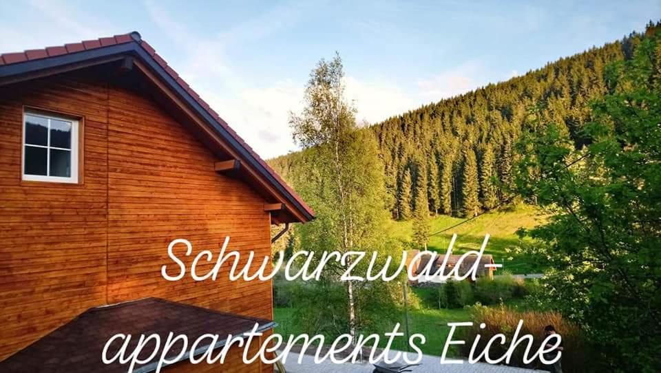 a wooden house with a mountain in the background at Black Forest Apartements by Hotel Grüner Baum Feldberg in Feldberg