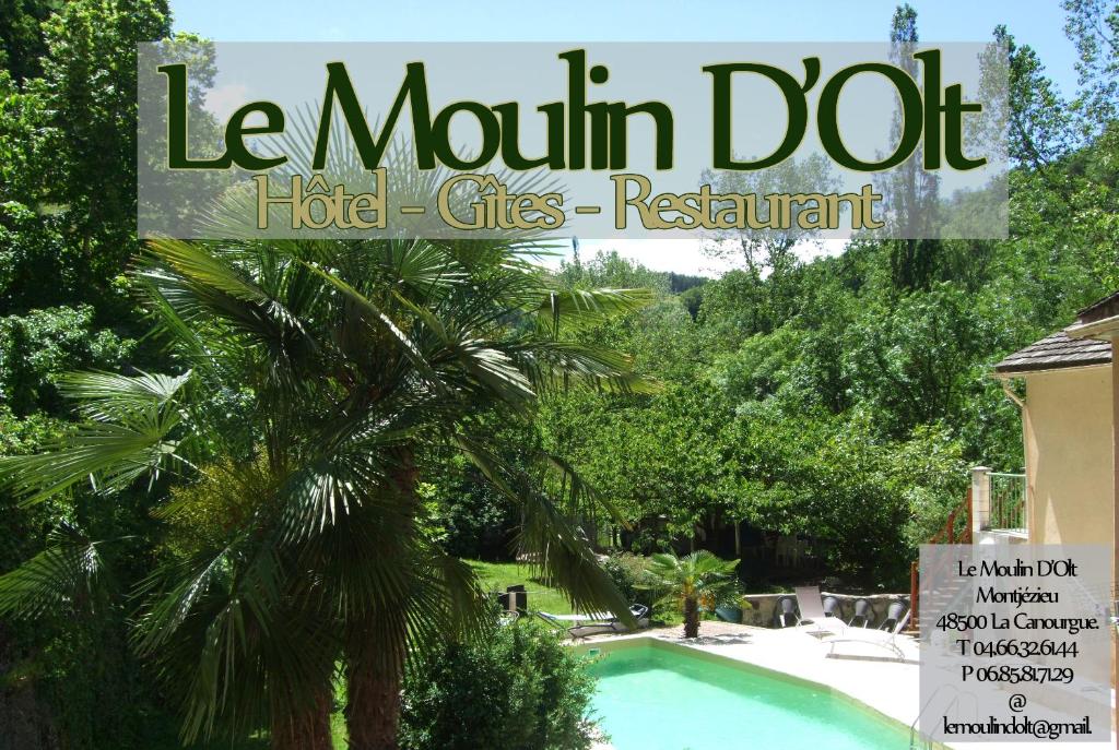 una portada de revista con una piscina y una palmera en Hôtel Le Moulin D'Olt, en La Canourgue