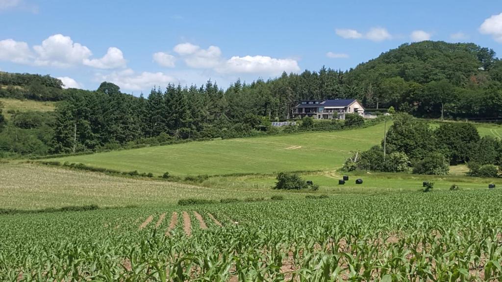 Příroda nedaleko apartmánu