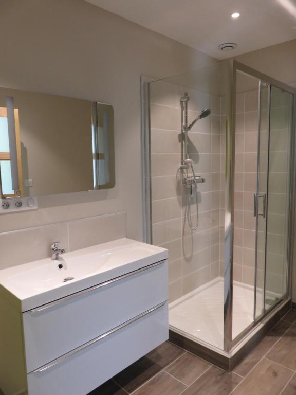 a bathroom with a white sink and a shower at Le gîte de Ballage in Chemillé-sur-Dême