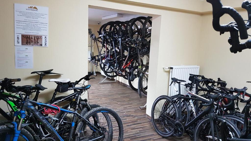 Jízda na kole v ubytování Hotel Winterberg Resort nebo okolí