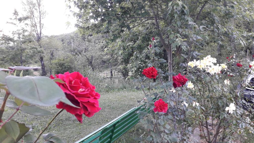 Derechos de imagen reservados por Booking.com