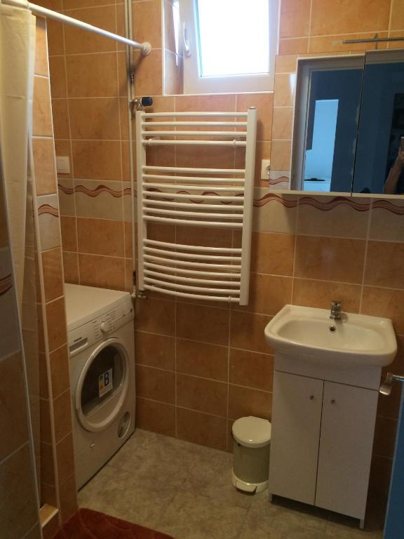 a bathroom with a sink and a washing machine at Báró Berg Apartman in Kapuvár