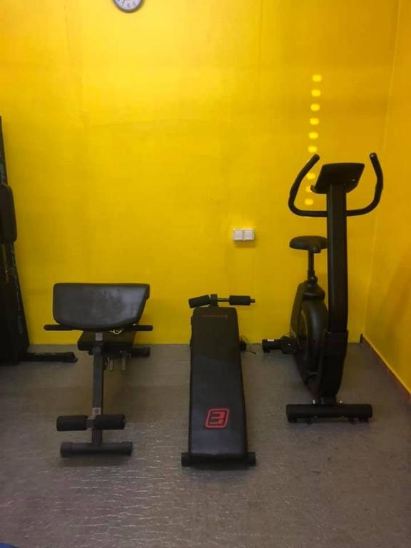 Fitness centrum a/nebo fitness zařízení v ubytování Le Papillon