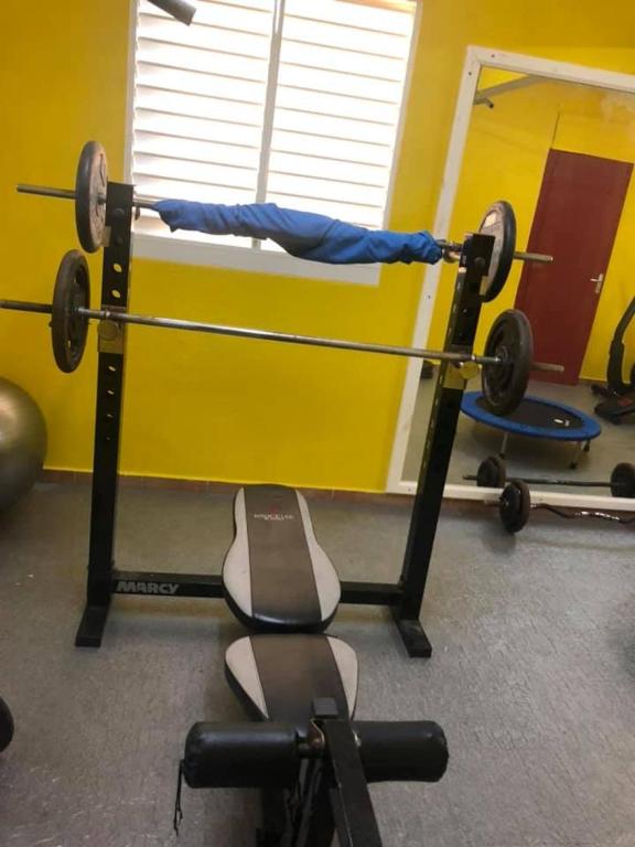 Fitness centrum a/nebo fitness zařízení v ubytování Le Papillon