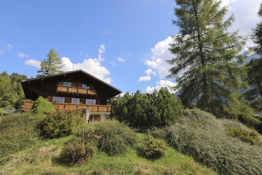 Příroda nedaleko apartmánu