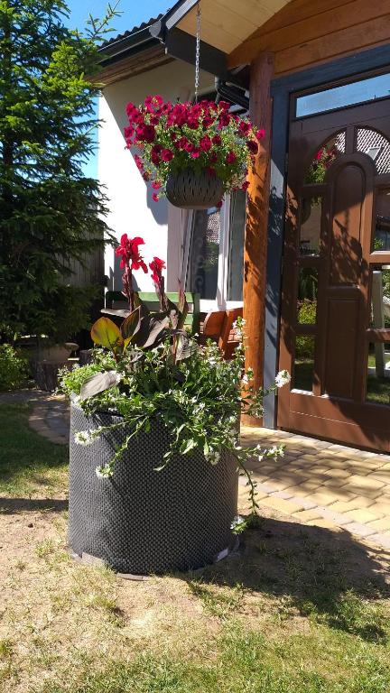 Vonkajšia záhrada v ubytovaní Dom nad Wigrami