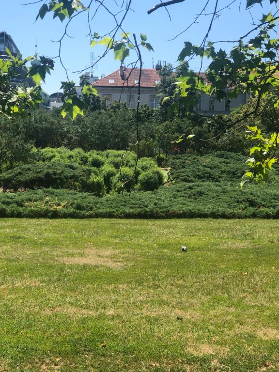 OLD TOWN SPIRIT - Resim 12