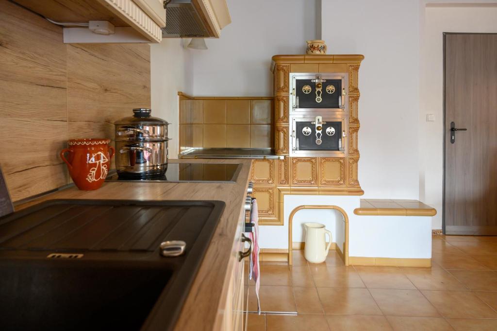 Kuchyň nebo kuchyňský kout v ubytování Villa Jana