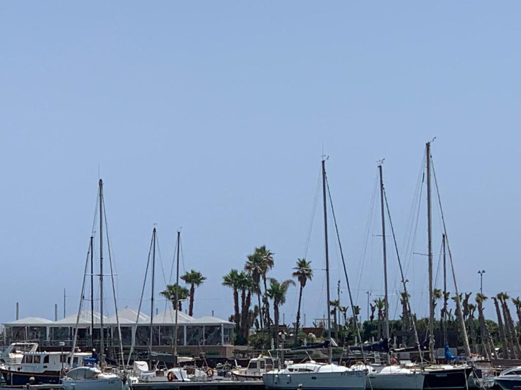 a group of boats docked in a harbor with palm trees at Tyche in Siracusa