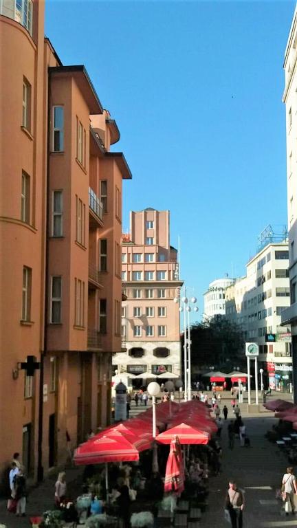 Main Square Dream Apartment - 12