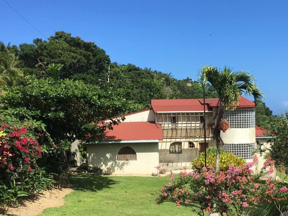 uma casa com um telhado vermelho e uma palmeira em Teresinajamaica em Saint Annʼs Bay