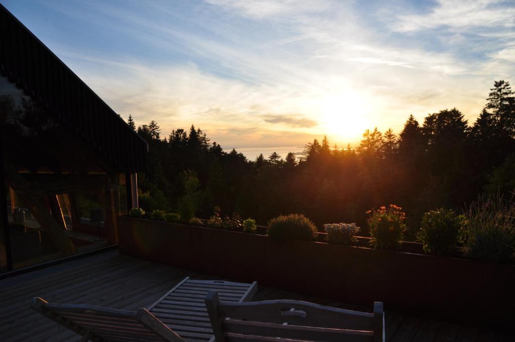 Sonnenuntergang auf einer Terrasse mit zwei Stühlen und Pflanzen in der Unterkunft Ferienwohnung Reichart in Lochau