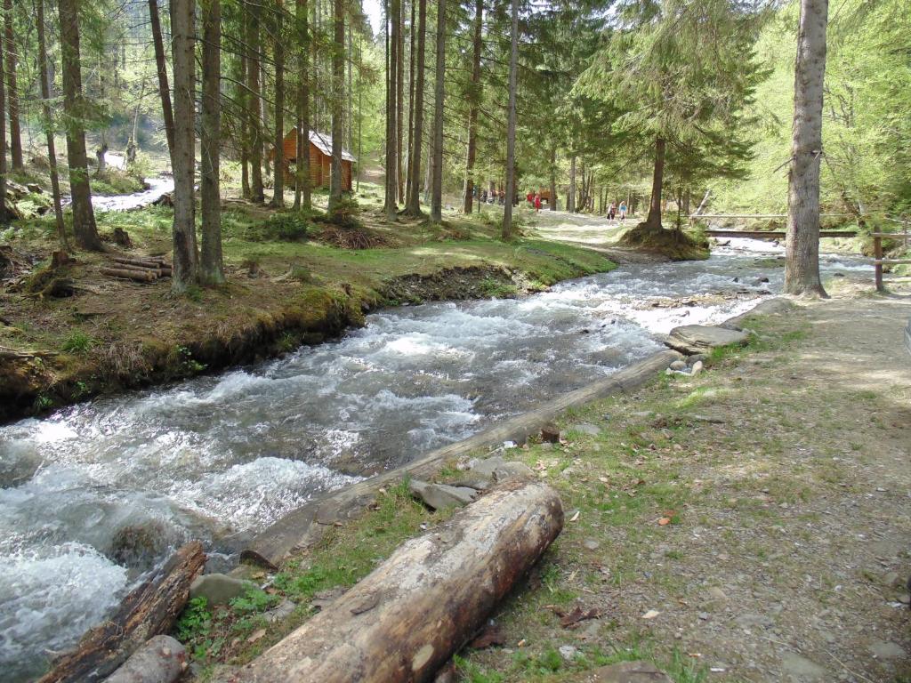 Příroda nedaleko hotelu