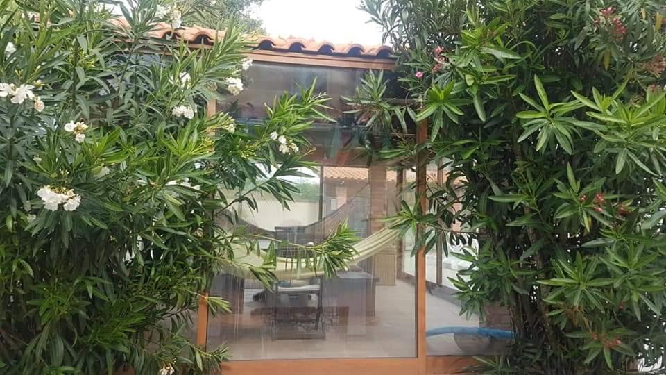 Zahrada ubytování Afonso's House Alpendurada