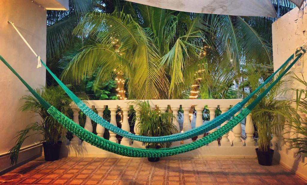 a hammock in a room with palm trees at Casa Tropical in Cancún