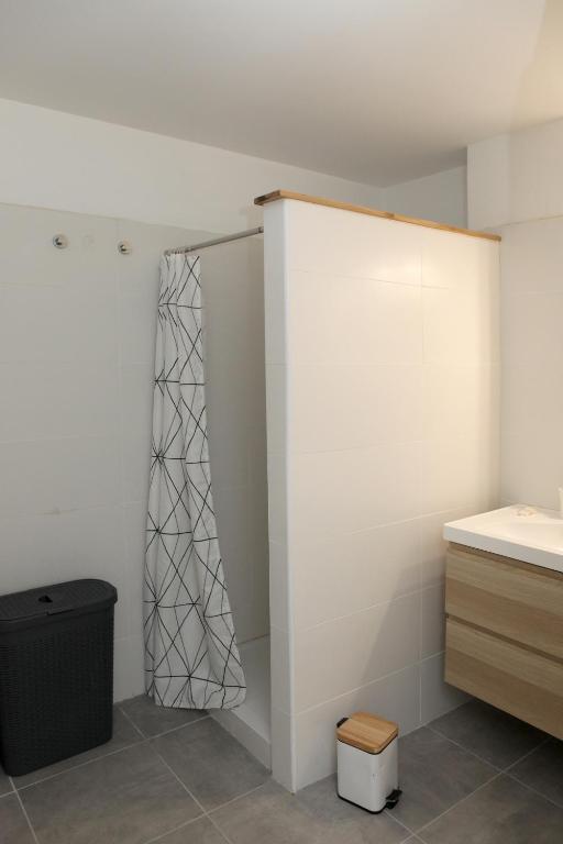 a bathroom with a shower and a sink at Résidence La Corvette in Toulon