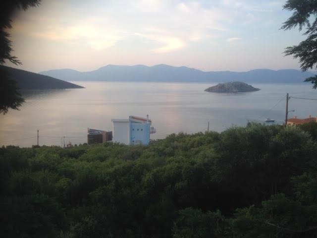 Príroda v okolí vily