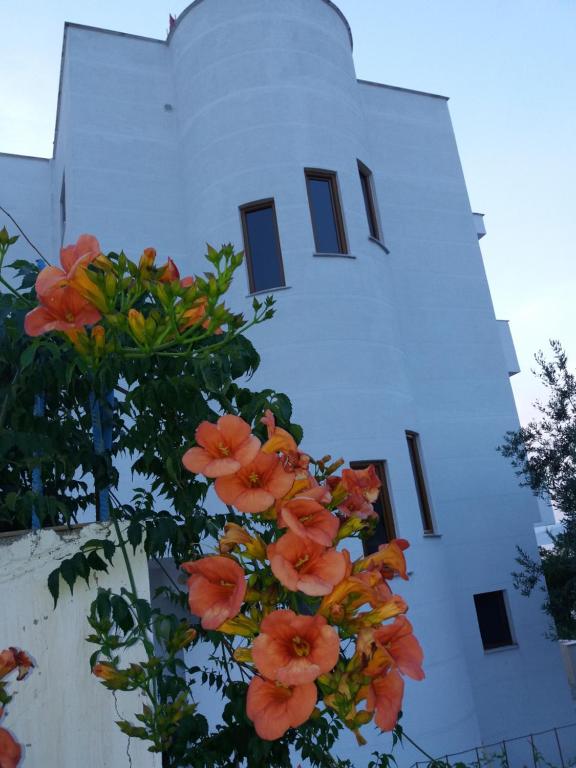 a building with orange flowers in front of it at Vila Jeti in Ksamil