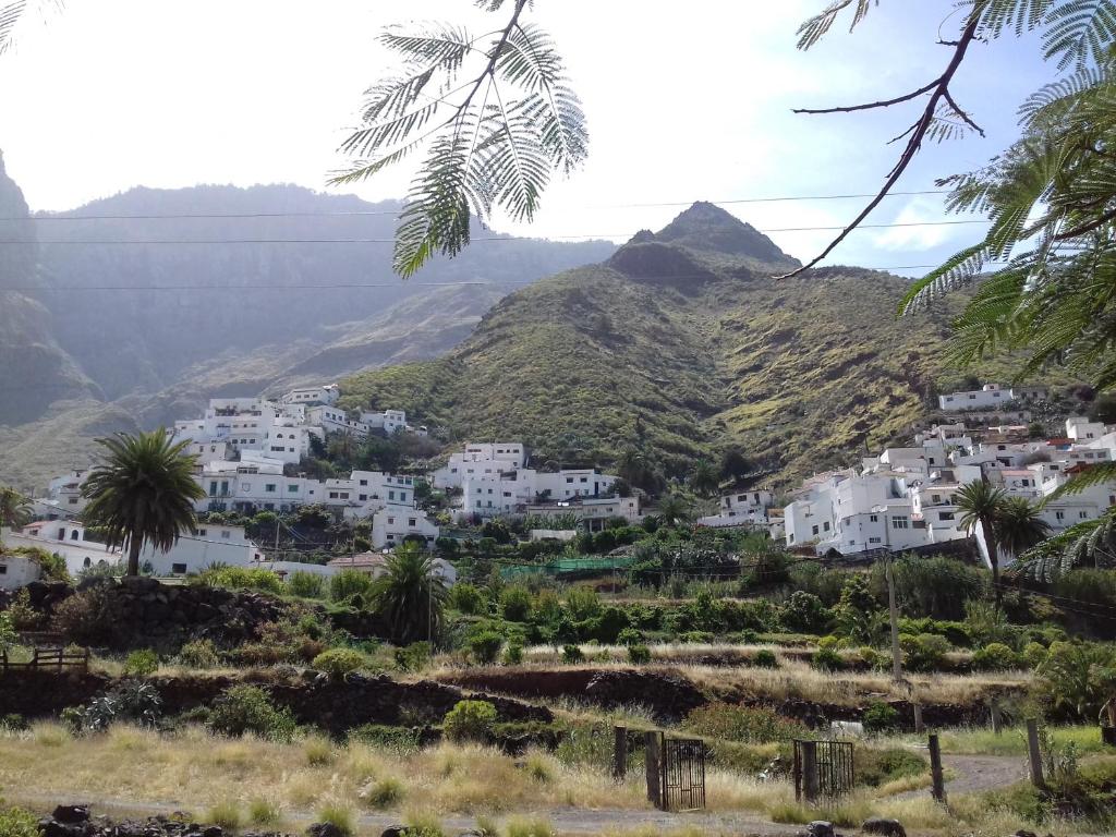 un village sur une colline avec des palmiers et des maisons dans l'établissement Lagarto, à Agaete