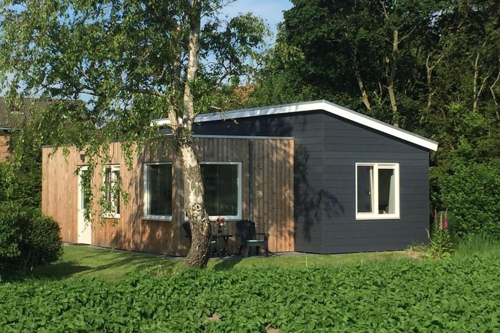a black tiny house in a yard with a tree at Bungalow Groen in Den Burg