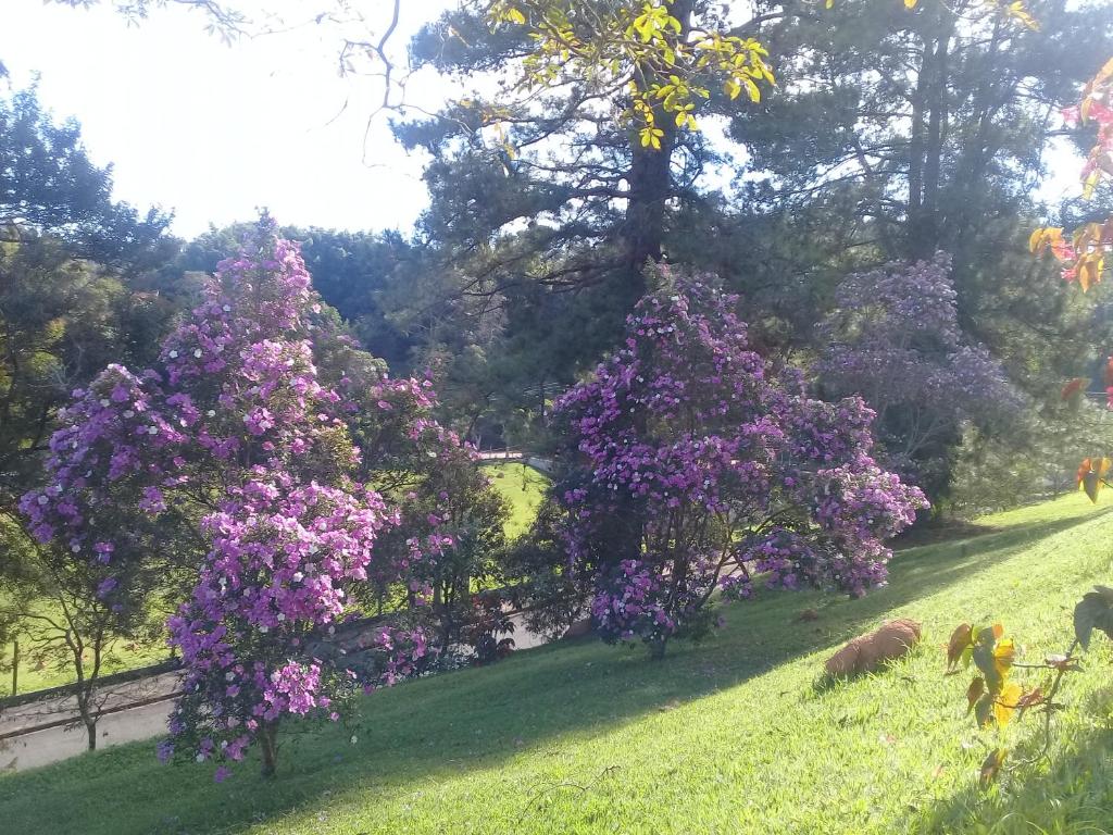  Pousada Villa Balneário