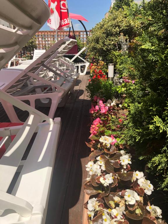 Zahrada ubytování Sunrise Hotel Cameria