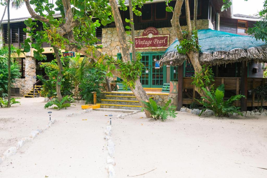 Zahrada ubytování Bananarama Dive & Beach Resort