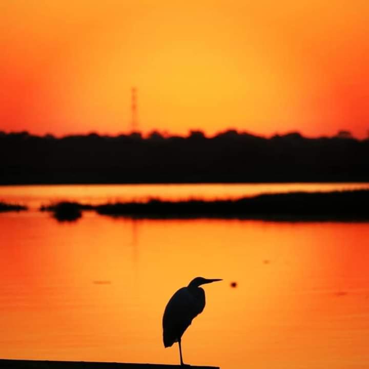  Associação Sabesp Ilha Comprida