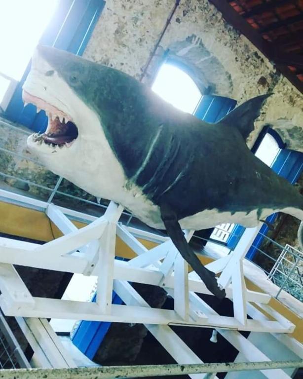  Associação Sabesp Ilha Comprida