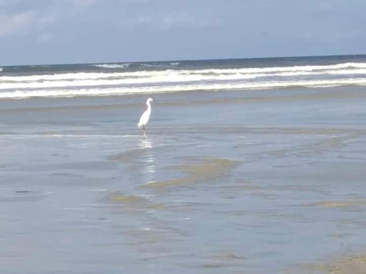  Associação Sabesp Ilha Comprida