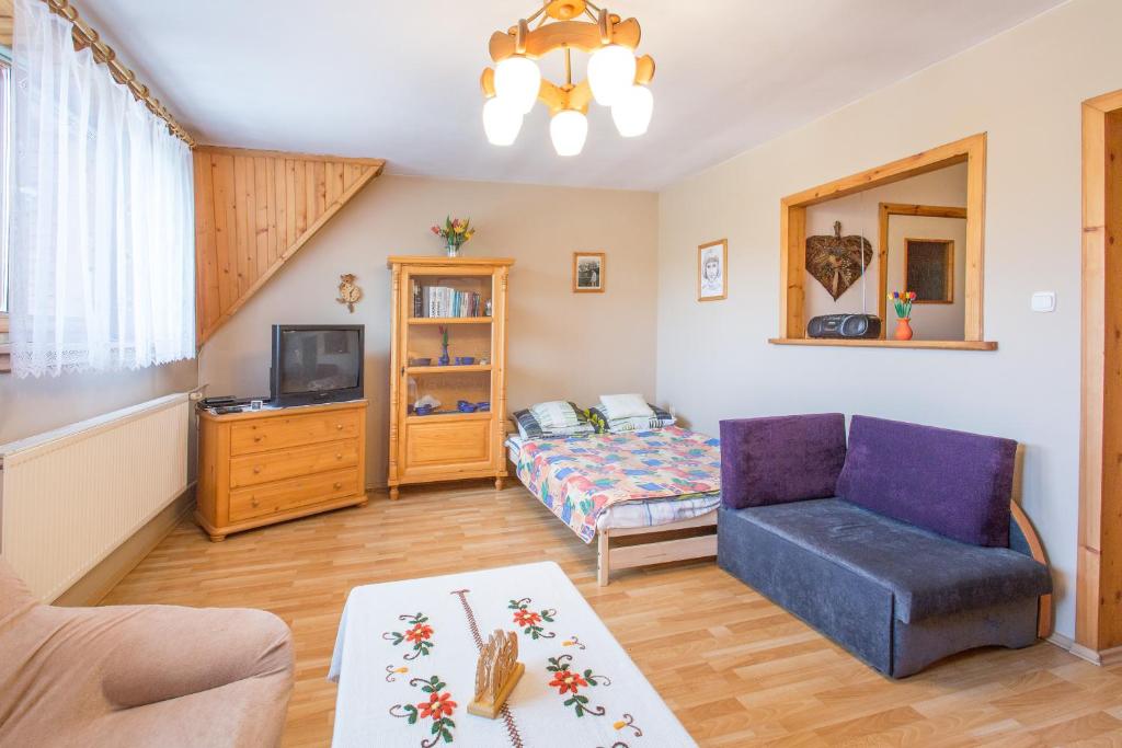 sala de estar con sofá, silla y TV en Apartamenty Nowotarskie, en Zakopane