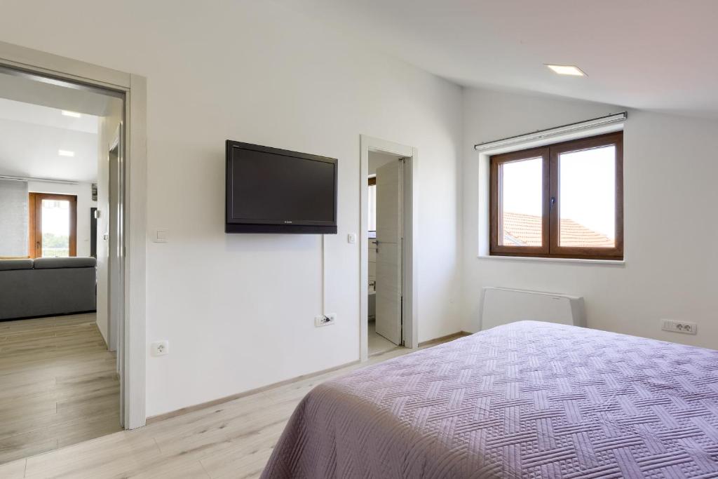 Televízia a/alebo spoločenská miestnosť v ubytovaní Apartmani Bosa