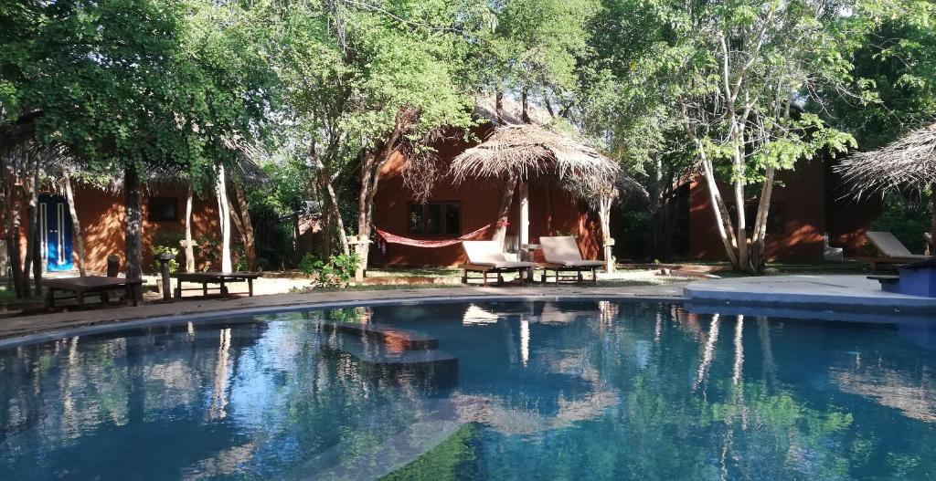 a swimming pool with two chairs and a house at Kuwera Eco Lodge in Sigiriya