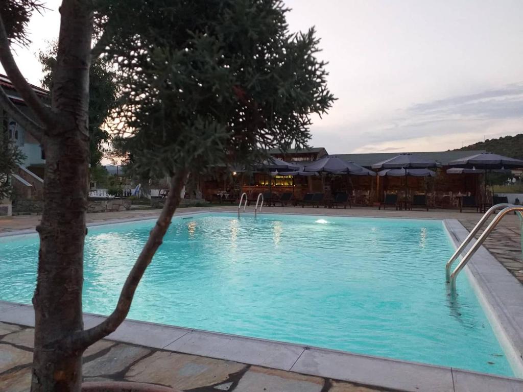 a blue swimming pool with a tree in the foreground at Caretta Village in Toroni