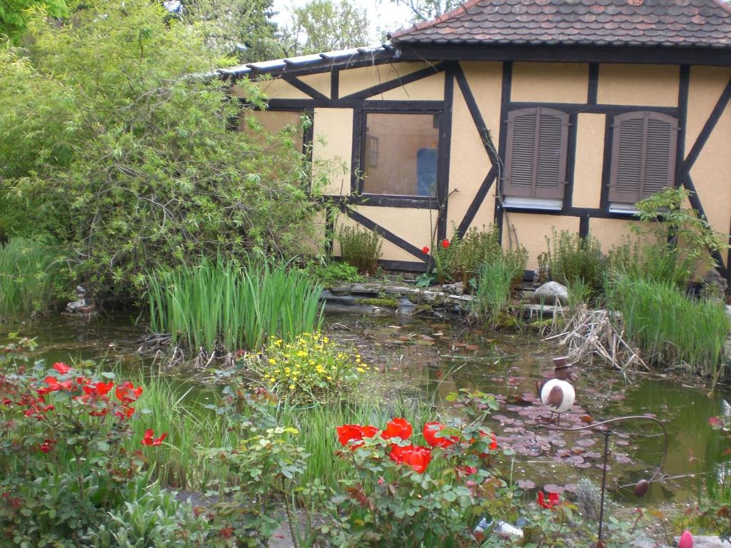 Zahrada ubytování Pension Hofmann