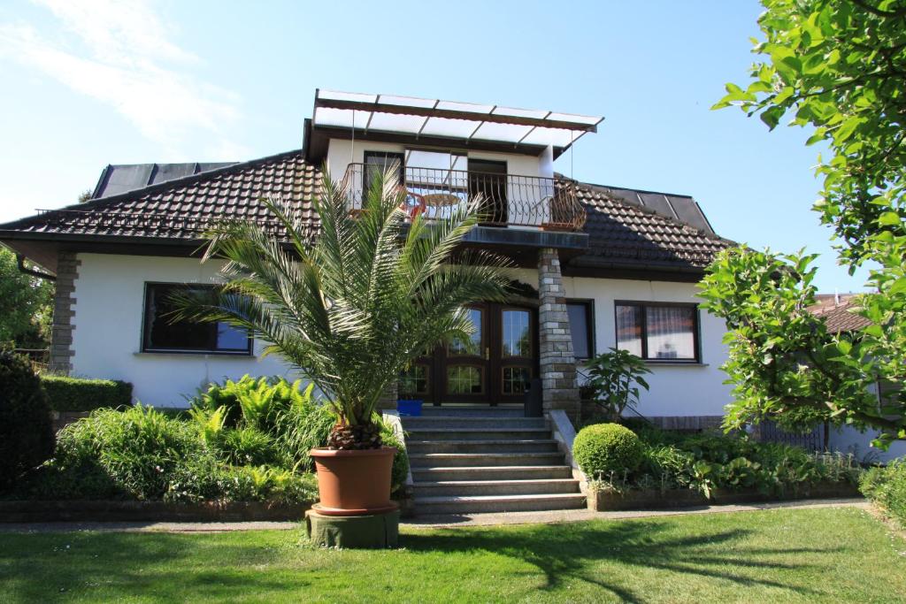 Zahrada ubytování Pension Hofmann