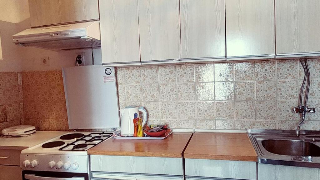 Kuchyň nebo kuchyňský kout v ubytování Apartment Petar