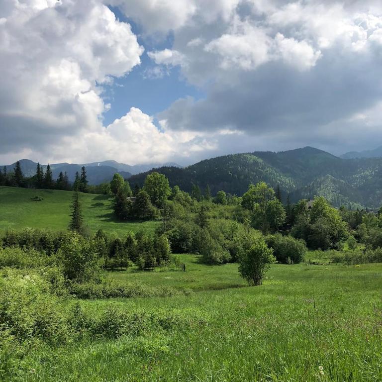 Apartament Wierchy - 17