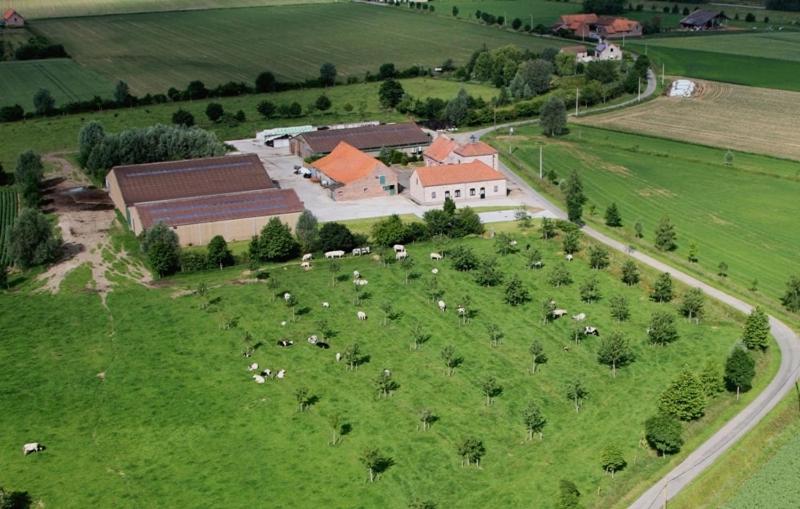 an aerial view of a farm with a herd of animals at Gite Prairie Fleurie in Mai Cornet