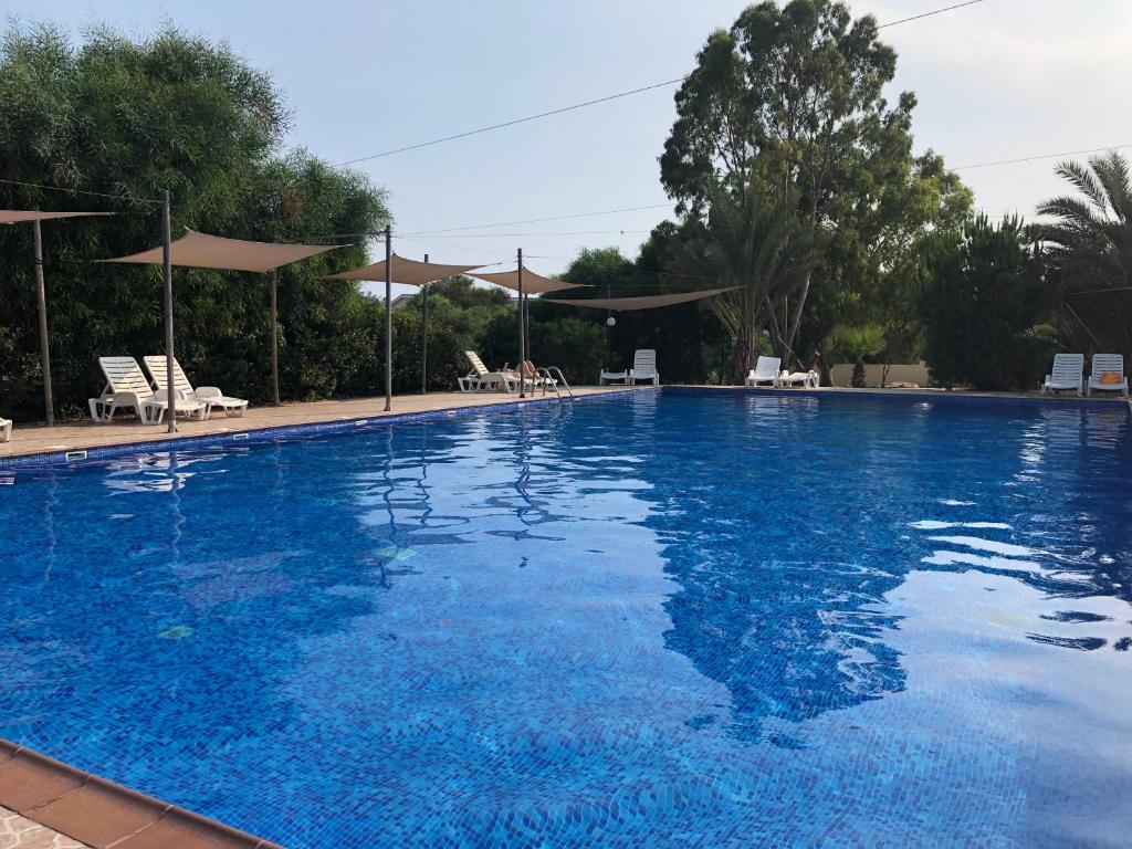 uma grande piscina azul com cadeiras e guarda-sóis em Nissi Elena -Sunshine Apt em Agia Napa