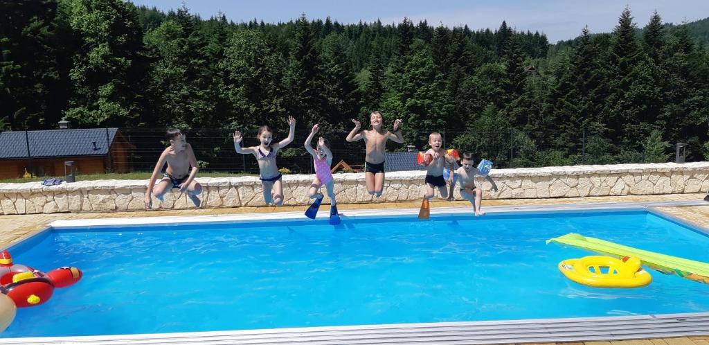 grupa ludzi skaczących do basenu w obiekcie Domki Pod Jałowcem w mieście Lachowice
