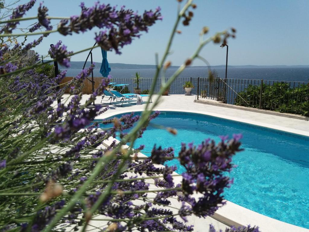 a swimming pool with purple flowers in the foreground at Villa Blue View in Sumpetar