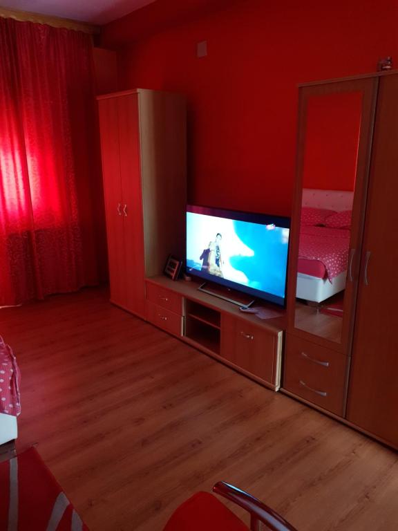Apartment Savanovic - Studio Apartment