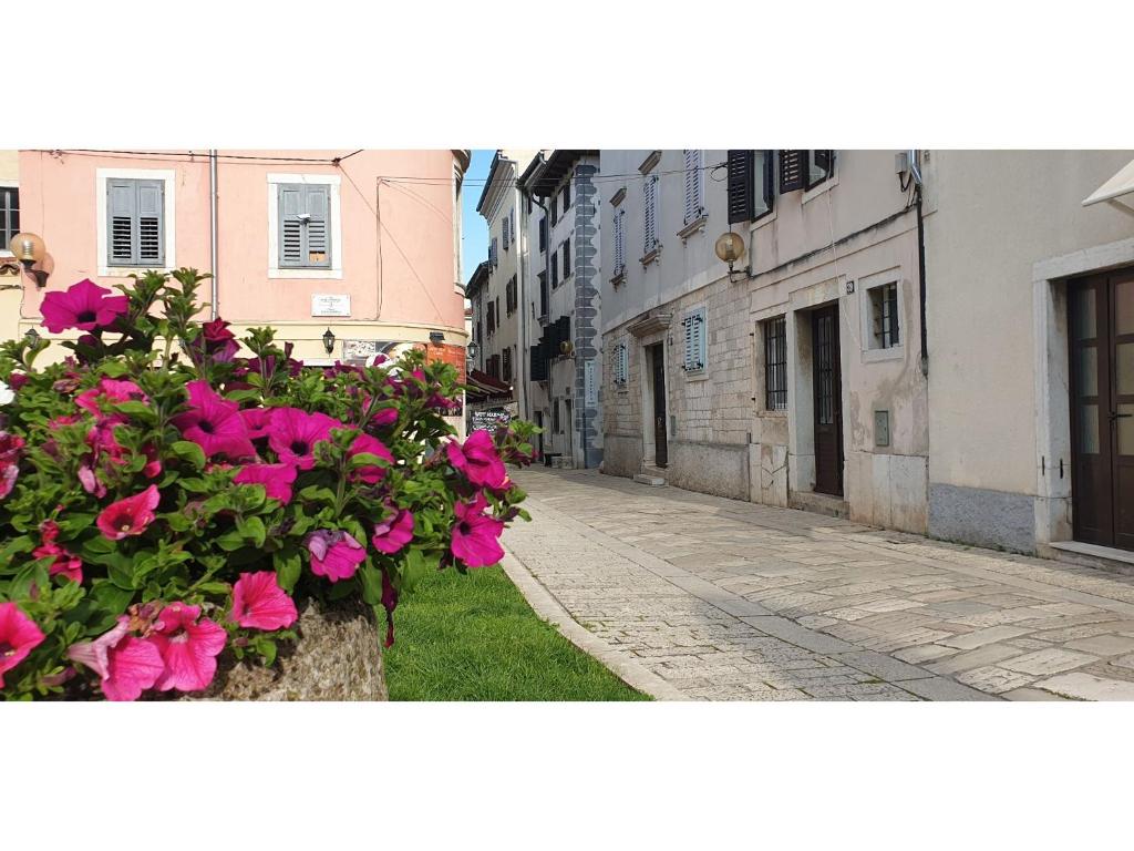 eine leere Straße mit rosa Blumen in einer Gasse in der Unterkunft Eufrasiana Apartments in Poreč