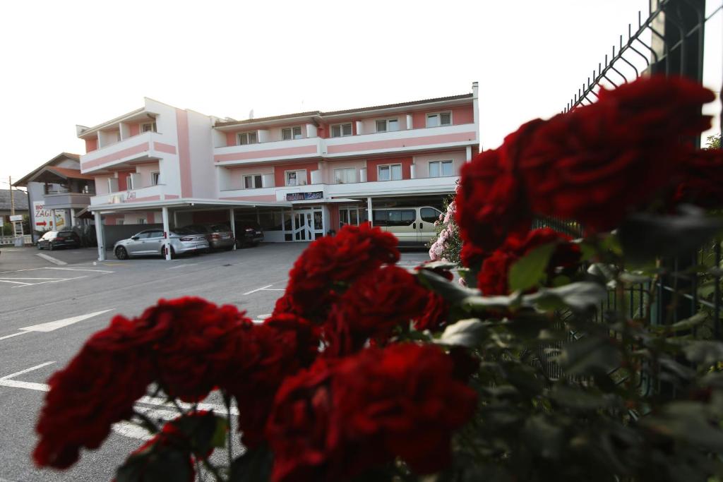 un montón de rosas rojas delante de un edificio en Hotel Zagi, en Oroslavje