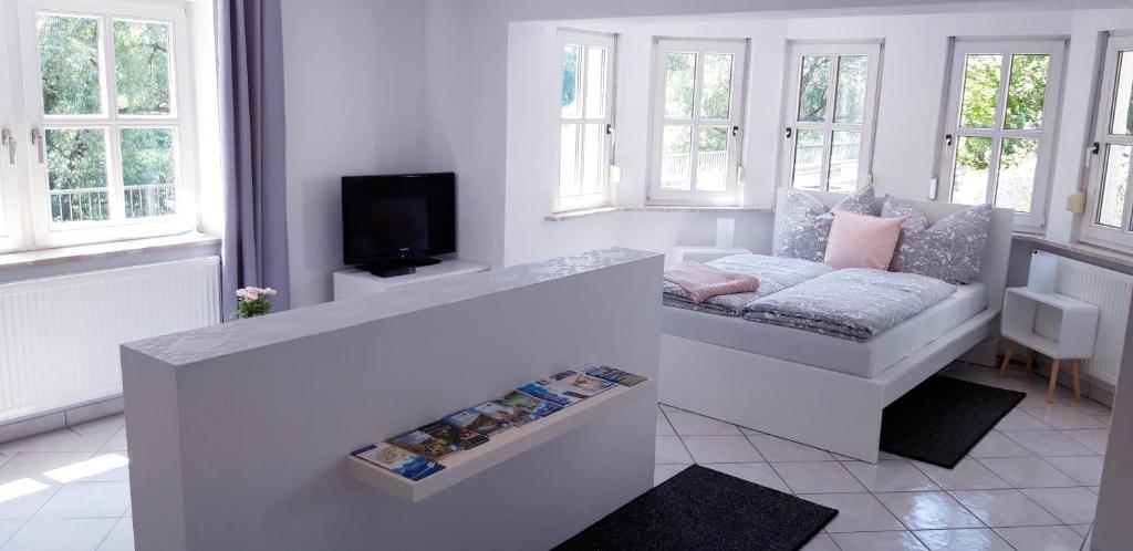 TV a/nebo společenská místnost v ubytování Apartment Donaublick